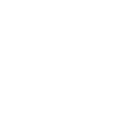 SanSoft